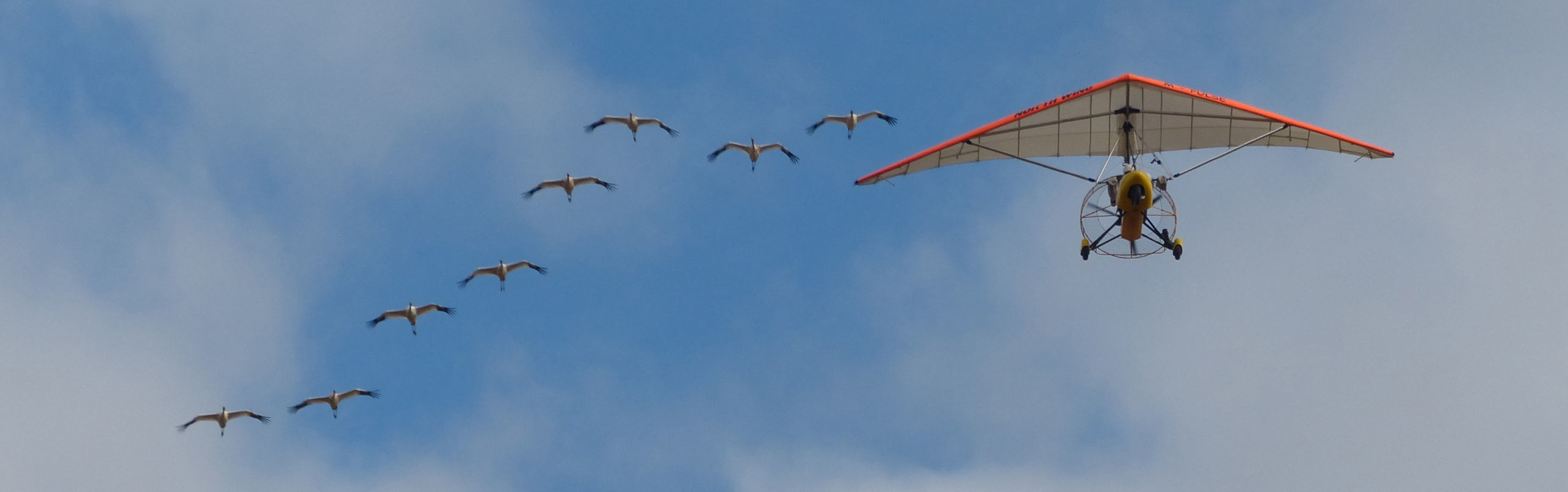 Crane plane